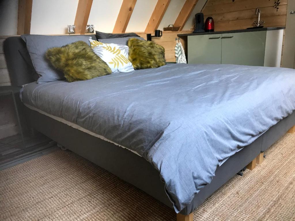 T’ Hogeland Ainrom room 2